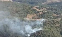 Balıkesir'de orman yangını