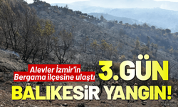 Balıkesir Gömeç yangında 3'üncü gün!