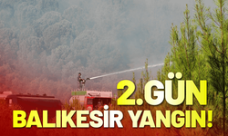 Balıkesir Gömeç'te yangın 2'nci gününde