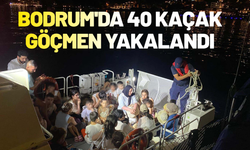 Bodrum'da 40 kaçak göçmen yakalandı