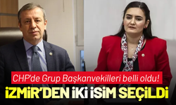 CHP'de Grup Başkanvekilleri belli oldu! İzmir'den iki isim seçildi