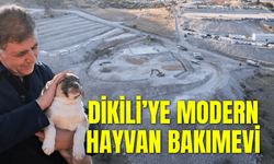 Dikili’ye modern hayvan bakımevi