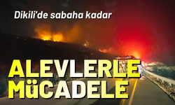 Dikili'de sabaha kadar alevlerle mücadele