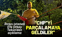 CHP'den ihracı istenen Efe Orbay Tekün'den açıklama