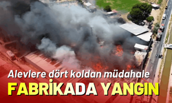 İzmir'de geri dönüşüm fabrikasında yangın
