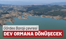 Gördes Barajı çevresi dev ormana dönüşecek