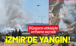 İzmir'de otluk alanda çıkan yangın, ormana sıçradı
