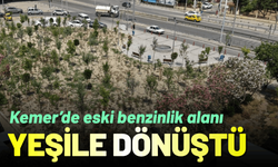 Eski benzinlik alanı yeşile dönüştü