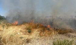 Kütahya'da otluk alanda yangın
