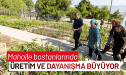 Mahalle bostanlarında üretim ve dayanışma büyüyor