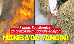 Manisa'da orman yangını