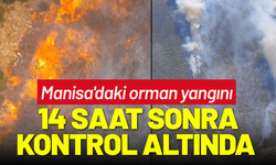 Manisa'daki orman yangını kontrol altında