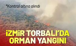 İzmir Torbalı'da orman yangını!