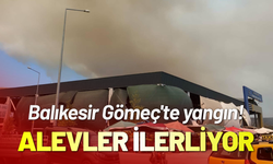 Balikesir Gömeç'te yangın! Alevler ilerliyor