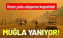 Muğla'da orman yangını; kara yolu ulaşıma kapatıldı