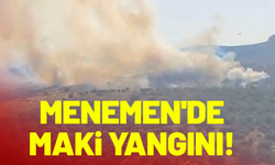İzmir Menemen'de maki yangını!