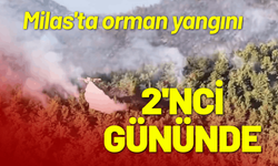 Milas'ta orman yangını 2'nci gününde