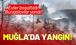 Muğla'da orman yangını: Evler boşaltıldı!
