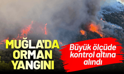 Muğla'daki orman yangını: Büyük ölçüde kontrol altına alındı