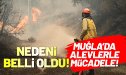 Muğla'da yangının çıkış nedeni belli oldu! Başkan Aras yangın bölgesinde...