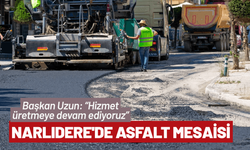 Narlıdere'de asfalt mesaisi
