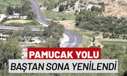 Pamucak yolu baştan sona yenilendi