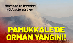 Pamukkale'de orman yangını!