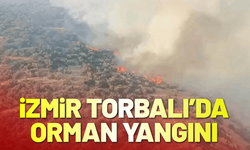 İzmir Torbalı'da orman yangını!