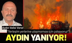 Aydın Valisi Varol'dan yangınla ilgili açıklama: Yerleşim yerlerine ulaşmaması için çalışıyoruz