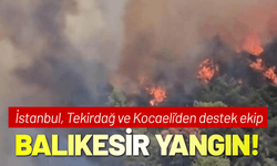 Balikesir Gömeç'te yangın! Alevler ilerliyor
