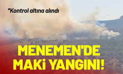İzmir Menemen'de maki yangını!