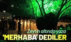 Zeytin altında yaza 'merhaba' dediler