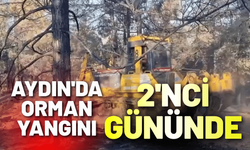Aydın'da orman yangını 2'nci gününde