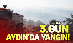 Aydın’da orman yangını 3'üncü gününde
