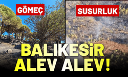 Balıkesir alev alev yanıyor: Susurluk ve Gömeç'te müdahale sürüyor