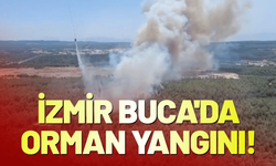 İzmir Buca'da orman yangını!