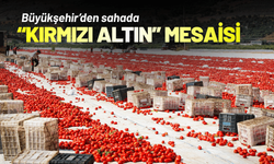 Büyükşehir’den sahada “Kırmızı Altın” mesaisi
