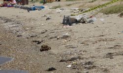 Çanakkale'de halk plajında patlamamış top mermisi bulundu