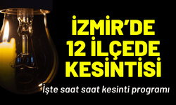 İzmir elektrik kesintisi... 1 Ağustos Cumartesi hangi ilçelerde elektrikler kesilecek?