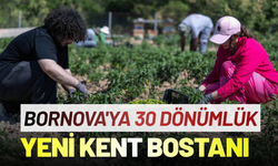 Bornova'ya 30 dönümlük yeni kent bostanı geliyor