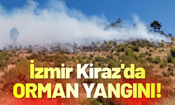İzmir Kiraz'da orman yangını!