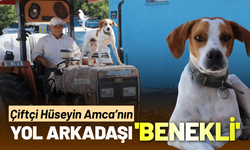 Çiftçi Hüseyin Amca'nın yol arkadaşı 'Benekli'