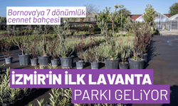 İzmir'in ilk lavanta parkı geliyor