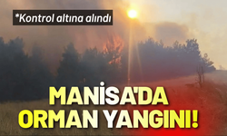 Manisa'da orman yangını! Kontrol altına alındı