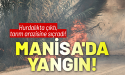 Manisa'da hurdalıkta yangın, tarım arazisine sıçradı!