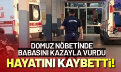 Domuz nöbetinde babasını kazayla vurdu, hastanede hayatını kaybetti!