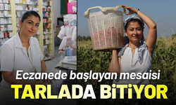 Eczanede başlayan mesaisi tarlada bitiyor