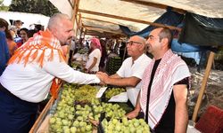 6'ncı Bozalan İncir Festivali'nde ünlü isimler sahnede olacak