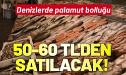 Denizlerde palamut bolluğu: 50-60 TL'den satılacak!