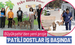 Büyükşehir'den 'Patili Dostlar İş Başında' projesi